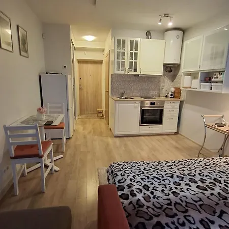 Summer Apartment