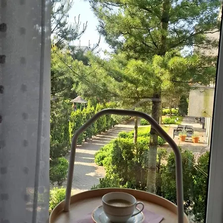 Apartment Summer
